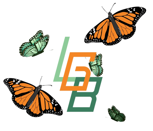 LGB Butterfly T – LetsGeauxBreaux.com